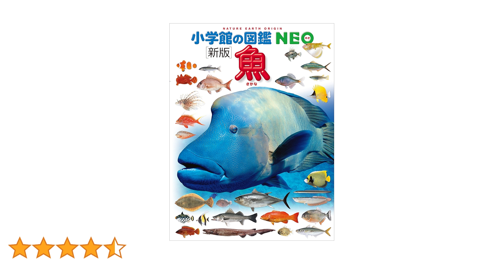 小学館の図鑑NEO〔新版〕魚 | 松沢陽士, 近江卓, 井田齊, 松浦啓一 小学館の図鑑NEO〔新版〕魚 | 松沢陽士, 近江卓, 井田齊, 松浦啓一